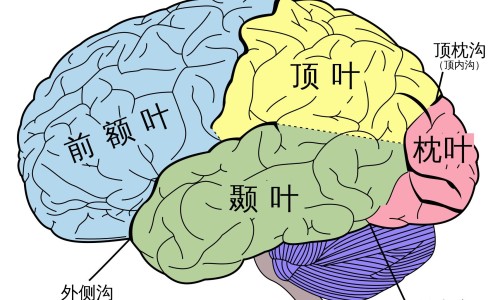 肝硬化早期症状表现 五大信号要警惕-权威肝硬化早期症状表现 五大信号要警惕平台,分享专业肝硬化早期症状表现 五大信号要警惕知识_肝硬化前兆什么症状有哪些症状图片网