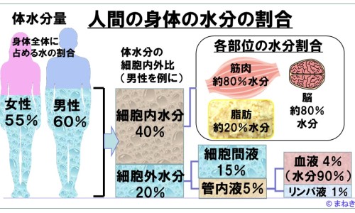 权威肝硬化早期症状表现 五大信号要警惕平台,分享专业肝硬化早期症状表现 五大信号要警惕知识_肝硬化前兆什么症状有哪些症状图片网